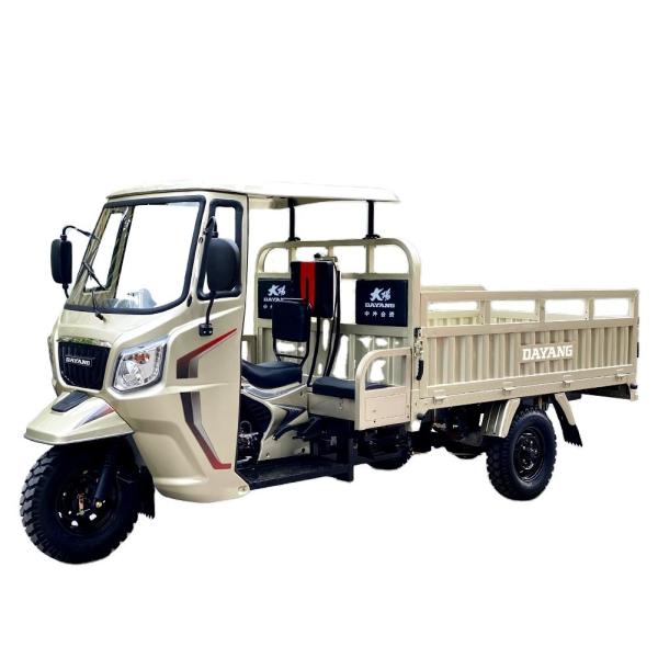 Rear-Axle Full Floating Motorcycle Tricycle 3 Wheel Cargo for Adult Rose Gold