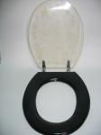 sea star shell poly resin toilet seat