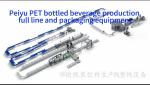 Peiyu PET Bottled Beverage Production Full Line And Packaging Equipments