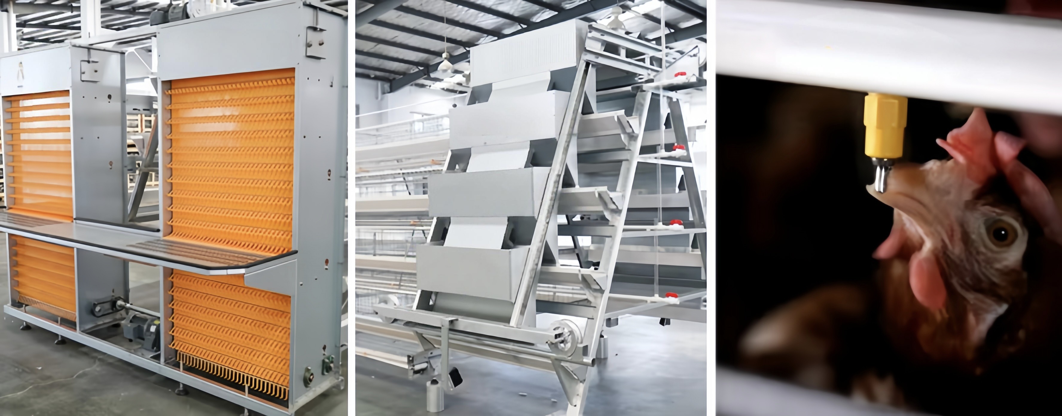 A Type Battery Layer Chicken Cage Automatic Chicken Poultry Farming Equipment