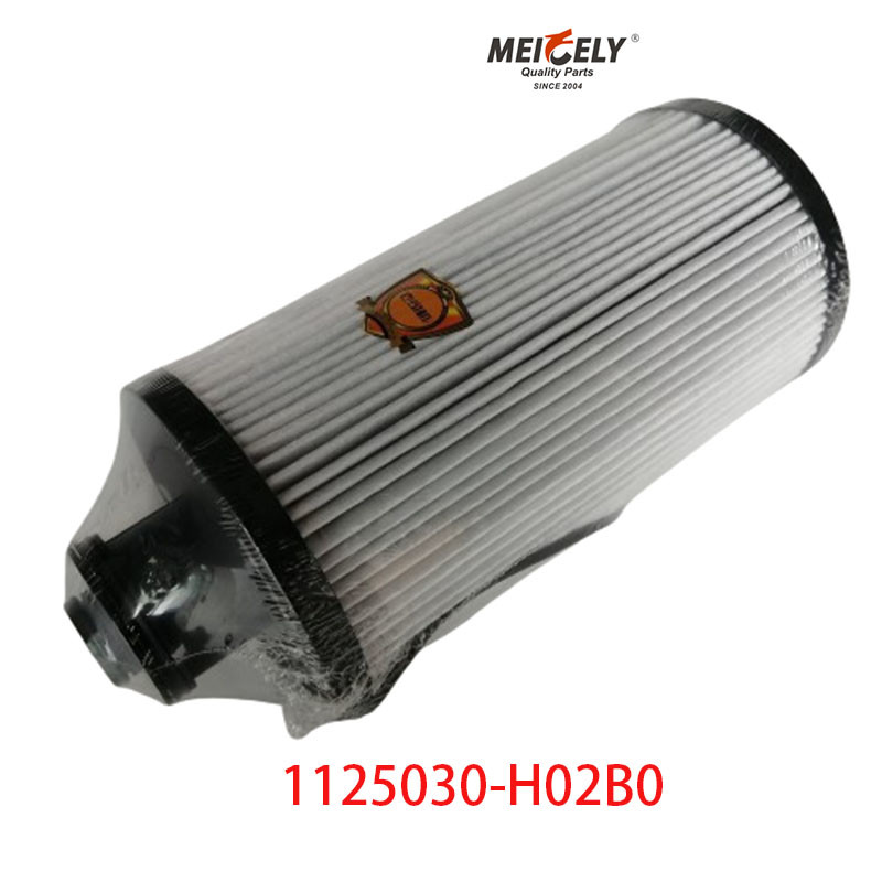 1125030-H02B0 Truck Parts Fuel Filter For Dongfeng Tianlong