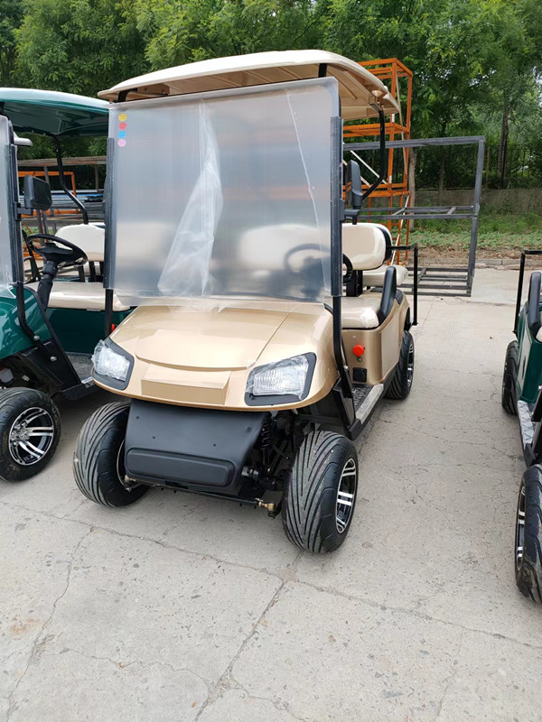 Left Hand Drive Electric Golf Buggy Lithium Battery Operated Golf Carts 2-10 Seats