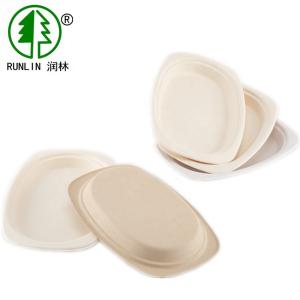 Quality Natural plant fiber oval shape biodegradable disposable plate wholesale