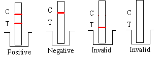 Treponema Pallidum Antibody Test EB Epstein Barr Antibodies Card
