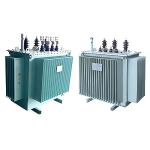 250kVA 11kv Oil Immersed Power Transformer