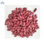400CPH Canned red kidney beans filling and sealing machine soya bean canning
