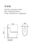 Ceramic One Piece Dual Flush Toilet Top Flush S Trap Elongated Bowl For Hotels
