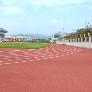 Quality ISO IAF Certificated Self Knot Pattern Outdoor Jogging Track Eco-Friendly wholesale