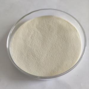 Quality 20kg/barrel Wholesome Enzymology Improve Product and Nutritional Value with Efficiency wholesale