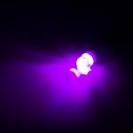 Powerful T10 Led Bulb High Bright Perfect For Car Interior Light