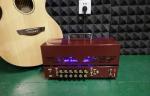 Grand Rectifier Mini Valve Guitar Amplifier Head 25W/10W (GU-22)