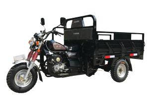 Quality Cargo Transportation Motorized Lift 70km/H Gasoline Tricycle wholesale