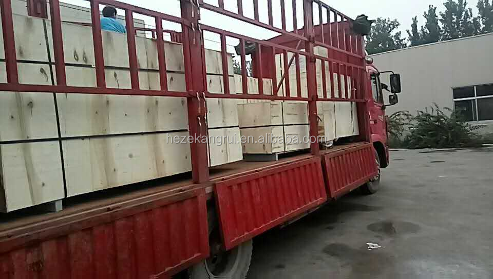 800kg Automatic KC-FCP-I Belladonna Plaster Manufacturing Machine for Capsicum Plaster