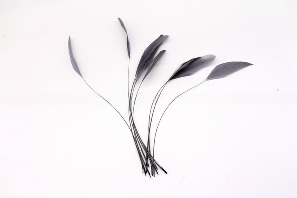 Stripped Rooster Coque Feather in Dyed Pattern for Chicken Feather Benefit