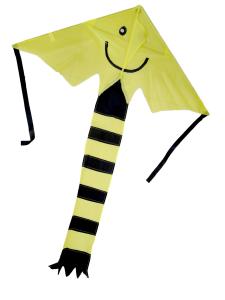 Quality Children Playing 30m Line Nylon Large Delta Kites wholesale