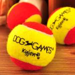 led tennis ball