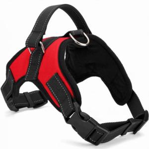Quality OEM ODM Reflective Pet Leash wholesale