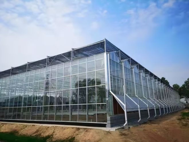 Large Agricultural Greenhouse with Galvanized Steel Frame and Optional Cooling System