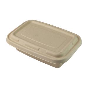 Quality Disposable Biodegradable Sugarcane Bagasse Food Container Set Rectangle wholesale