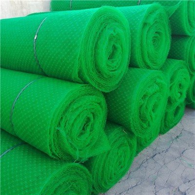 Slope Protection HDPE Plastic Geonet 3D Erosion Control Mat Geomat for Planted Grass