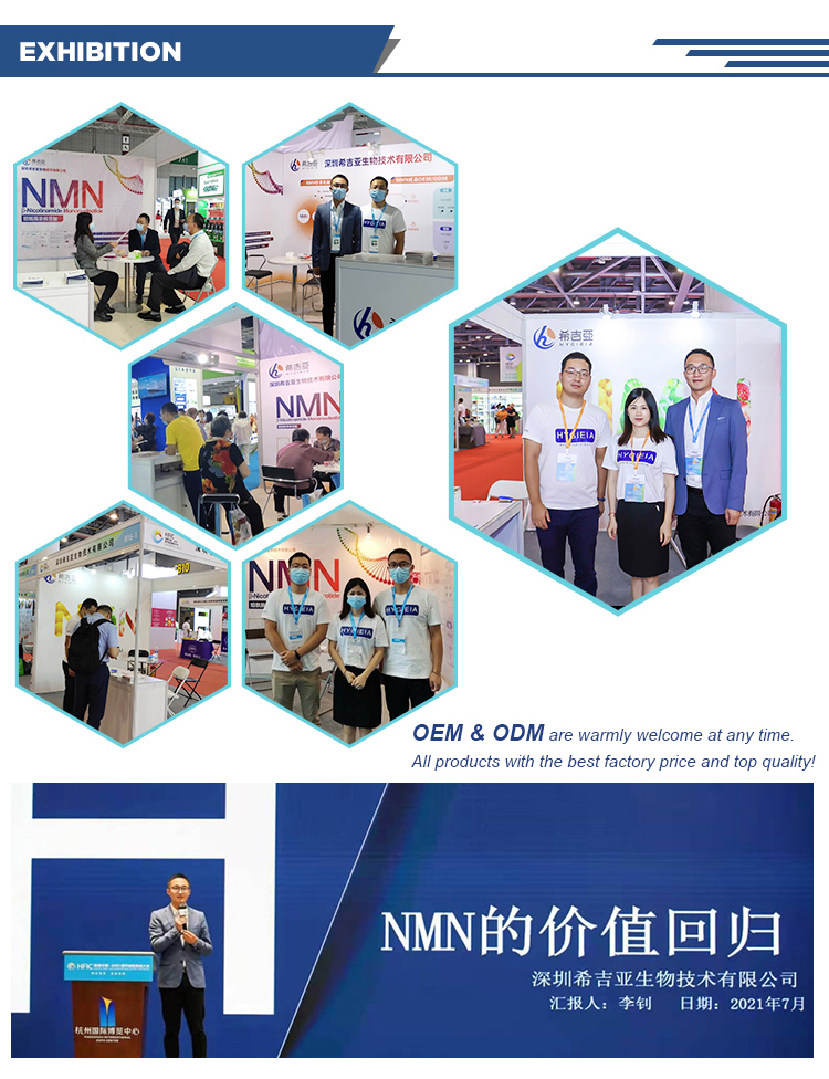 Professional 99% Purity NAD Nicotinamide Adenine Dinucleotide Powder CAS 53-84-9