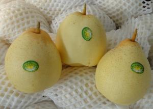 Quality 18kg Fresh Chinese Ya Pears Fruit wholesale