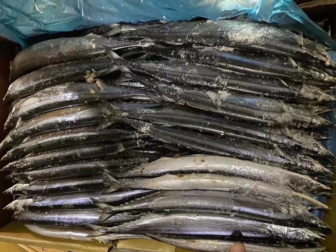 1# BQF Seafrozen Pacific Saury Fish With Bulk Packaging
