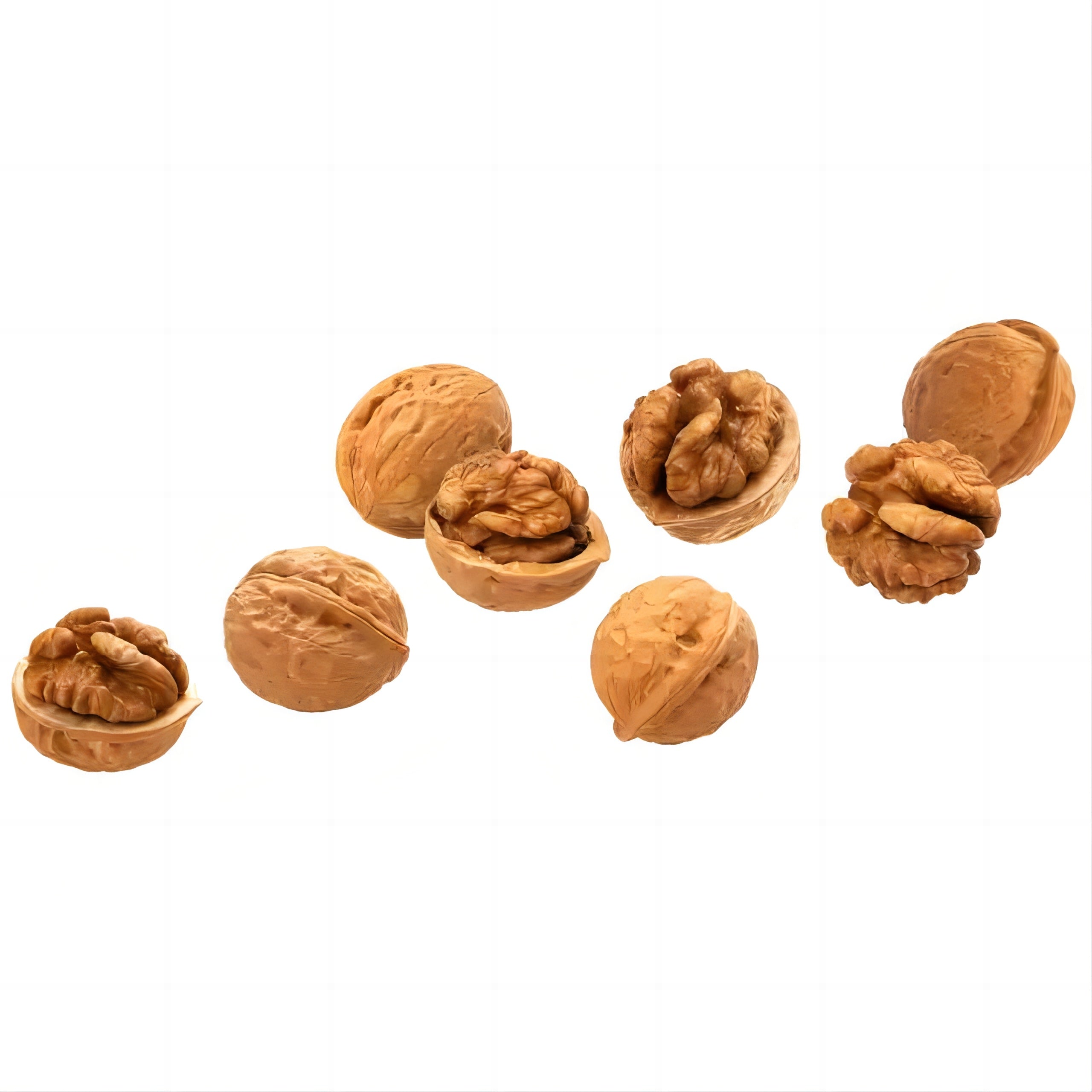 Amazon hot sale New Crop Chinese 33/185/xin2/xingfu edible nuts of walnuts with good quality