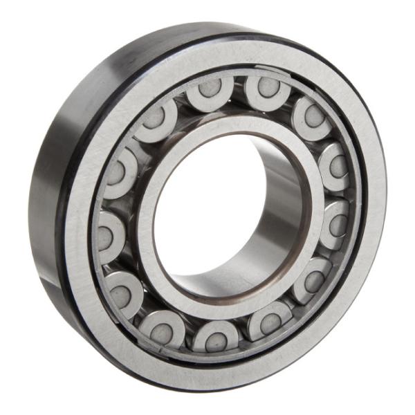 NJ NU NUP N 230 Bearings High Load Brass Cage Single Row Cylindrical Roller