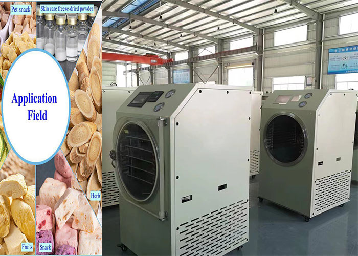 PLC Controlled Food Home Freeze Dryer 6Kg 10Kg Medium Size