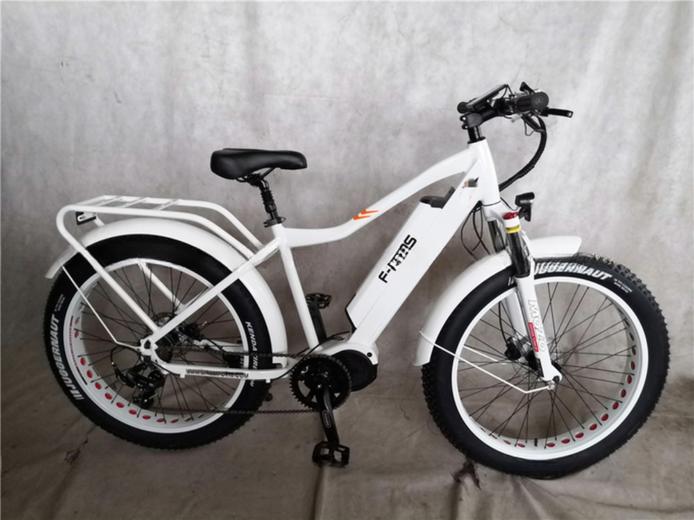 KT Controller 2024 250W 24V 10.4 A PAS Single Speed Electric Bike with Hidden Battery