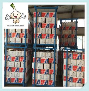Quality Export fresh garlic Chinese fresh garlic natural garlic 4.5cm-6.5cm wholesale