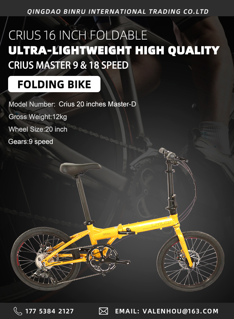 9 Speed Gears Crius 20 inch Master D Folding Road Bike with V Brake and Men Racing