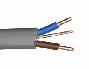 Quality 300/500V PVC Insulated Flat Twin and Earth Electric Cable for Light Industrial Wiring wholesale