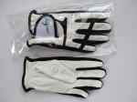 golf glove , golf gloves , glove , gloves