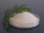 White Polyacrylamide Powder (C3H5NO)N Cas 9003 05 8 Sewage Treatment Chemicals