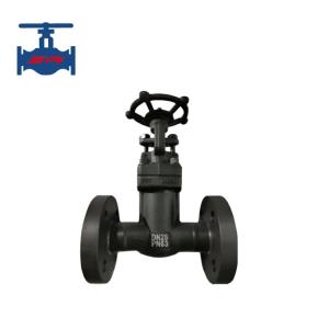 Quality API 602 Standard Class 150 SS304 Bellow Seal A105 Forged Gate Valve wholesale