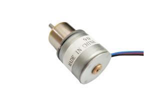 Quality High Precision 20mm 12v DC Micro Gear Stepper Motor 2 Phase 4 Wire wholesale