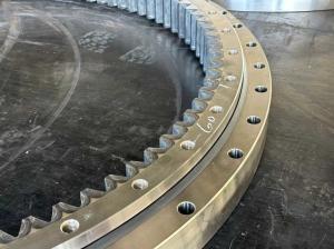 Quality CT E110 Slewing Bearing Slewing Ring Excavator wholesale
