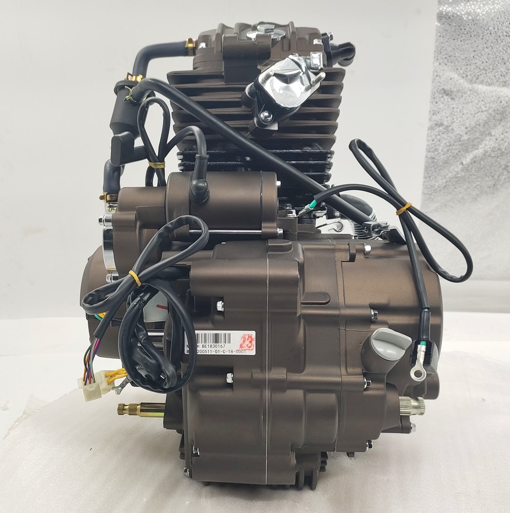 WOLF 300cc DAYANG Motorcycle Engine Single Cylinder 4 Stroke LIFANwater-cooled