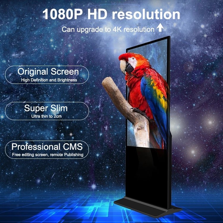 32 43 50 55 65'' Floor Standing Touch Screen Kiosk Android Indoor Exhibition