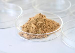 Quality Cellulase Hemicellulase Amylase Protease Beer Enzyme Brewing Enzymes wholesale
