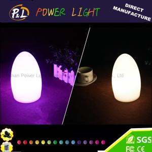 Quality Home Decoration Mood Light LED Illuminated Table Lamp wholesale
