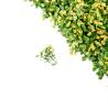 Buy cheap Football Field Artificial Grass Walls 30mm , Artificial Green Grass Carpet For from wholesalers