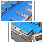 Frozen Dried Durian Dried Mangoes Fruit Multihead Weigher Combination Equipment