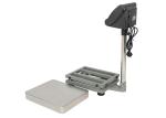 100Kg Bench Platform Scales