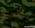 HDP Coating Prepainted Galvalume Steel Coil Camouflage Color High Chemical