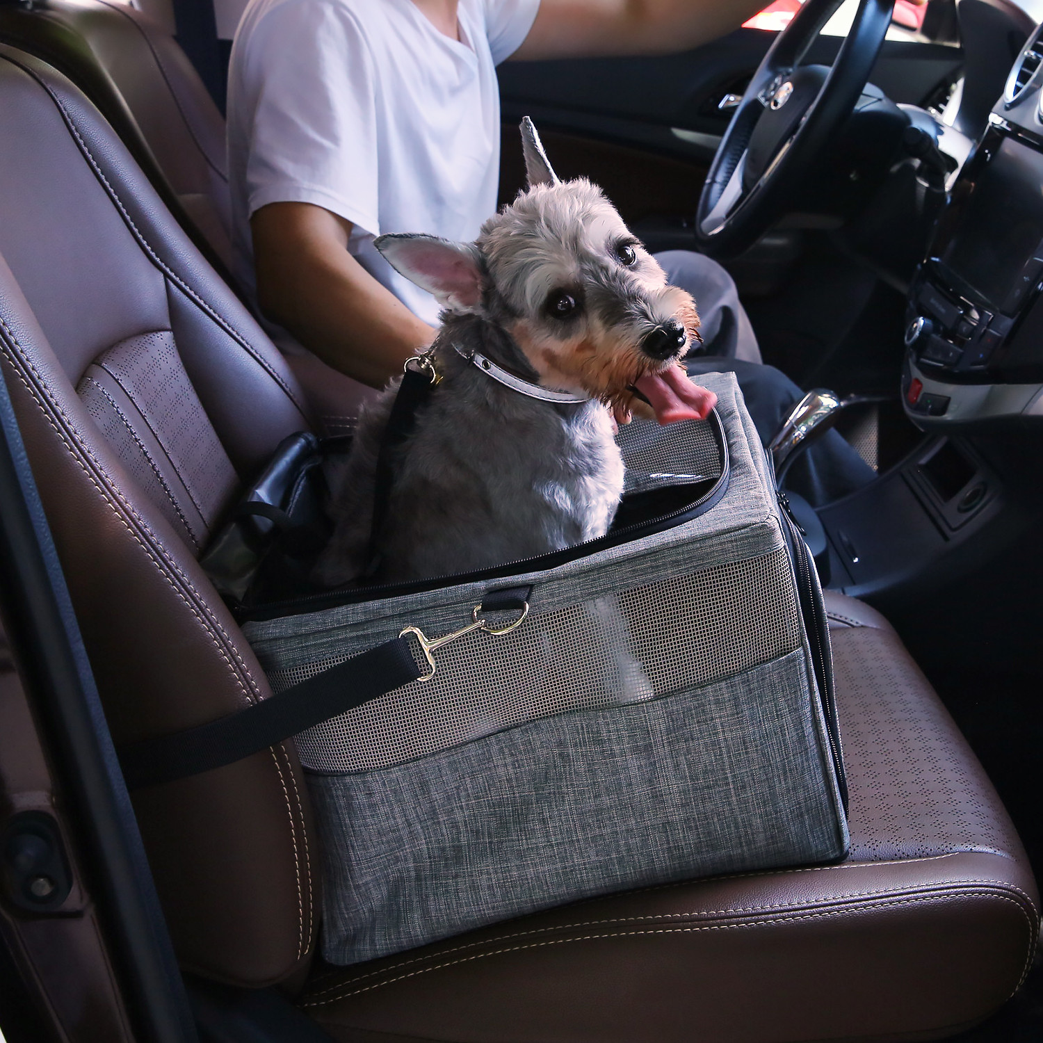 Safety Belt Pet Travel Carrier Outdoor Oxford Breathable Mesh Dog Box