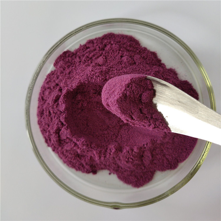 Blackcurrant Extract For Immune Anti-fatigue
