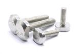 non standard 0.01 mm Plating Stainless Steel Screw Bolt